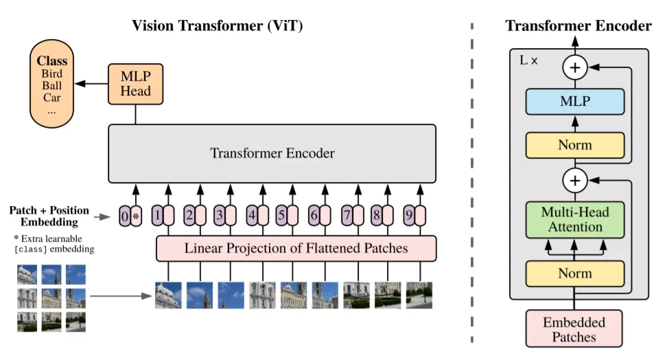 vit_introduction_image