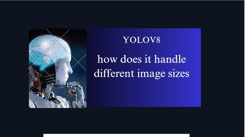 YOLOV8 how does it handle different image sizes